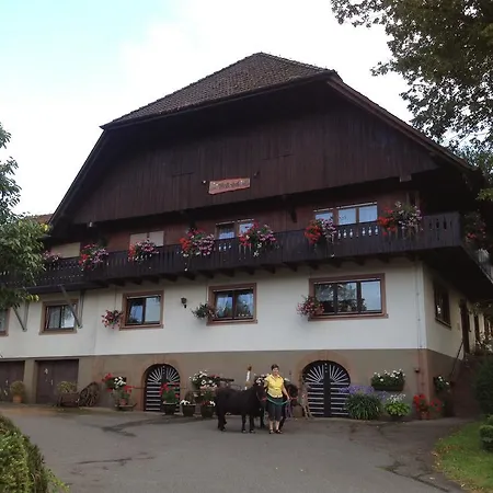 Bauernhof Mattenhof