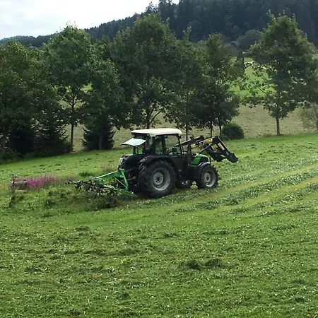 Mattenhof ファームステイ
