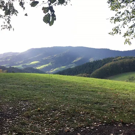 Mattenhof *