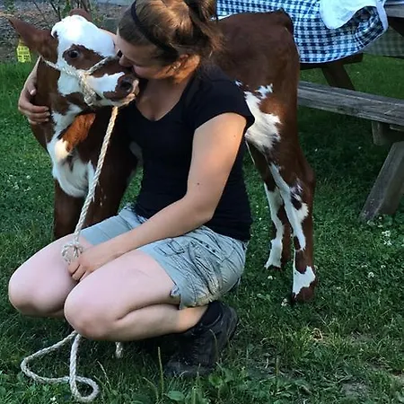 Mattenhof Vakantieboerderij *