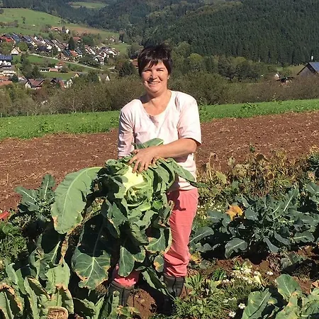 Mattenhof Vakantieboerderij Zell am Harmersbach