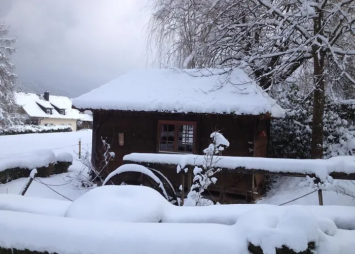 Mattenhof Zell am Harmersbach
