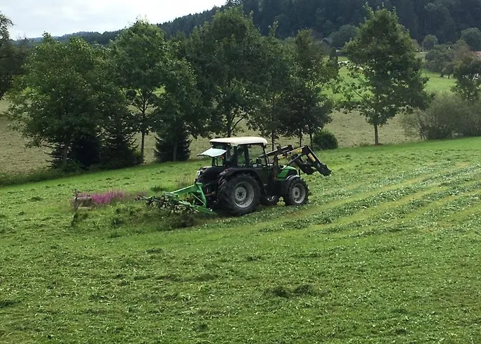 Mattenhof Gospodarstwo agroturystyczne