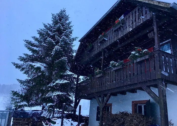 Mattenhof Gospodarstwo agroturystyczne *