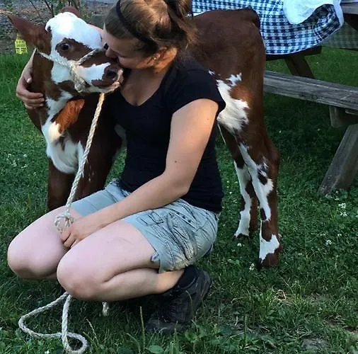 Mattenhof Gospodarstwo agroturystyczne *