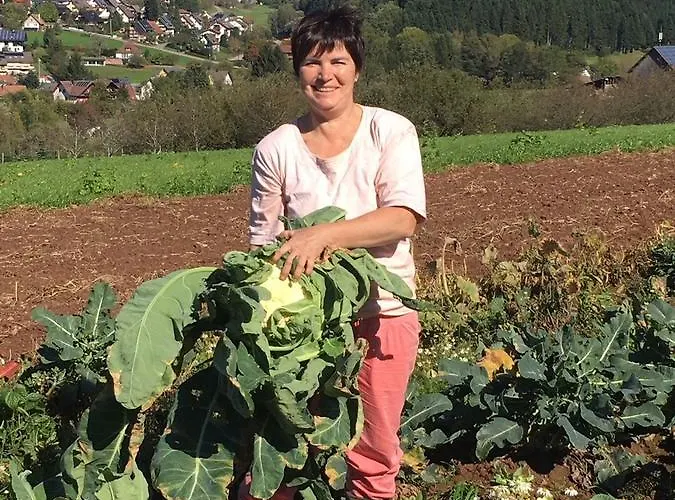 Mattenhof Gospodarstwo agroturystyczne Zell am Harmersbach