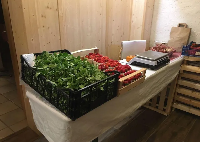 Mattenhof Gospodarstwo agroturystyczne